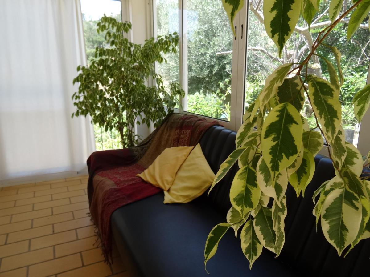 My Room - Villa Vina - Ter Monchique Exterior foto